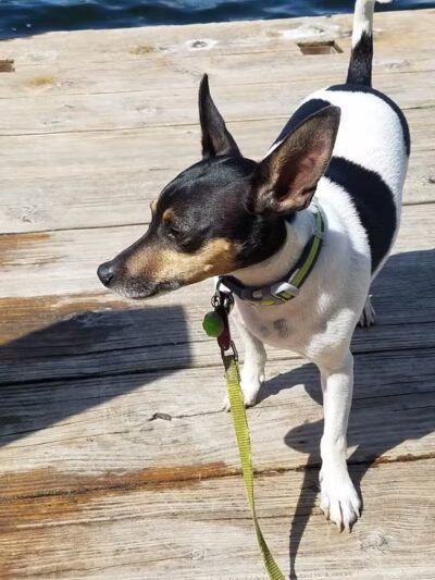 Prairie View County Park - Vicksburg,