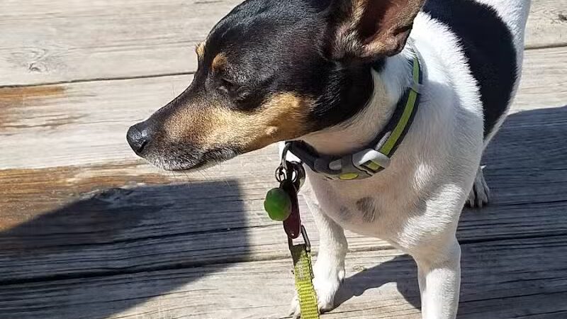 Prairie View County Park - Vicksburg,