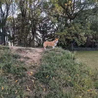 Prairie View County Park - Vicksburg,