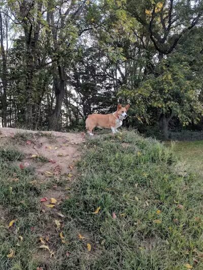 Prairie View County Park - Vicksburg,