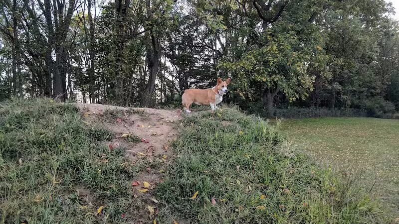 Prairie View County Park - Vicksburg,