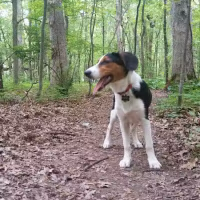 Prairie View County Park - Vicksburg,