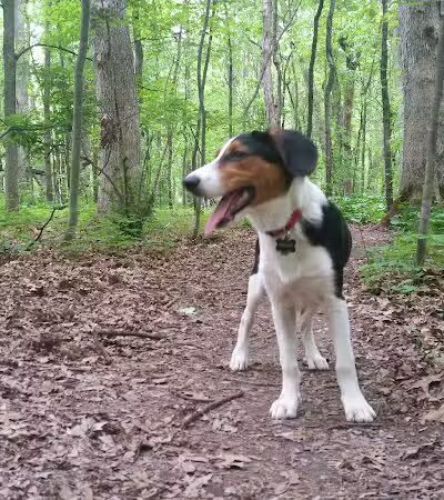 Prairie View County Park - Vicksburg,