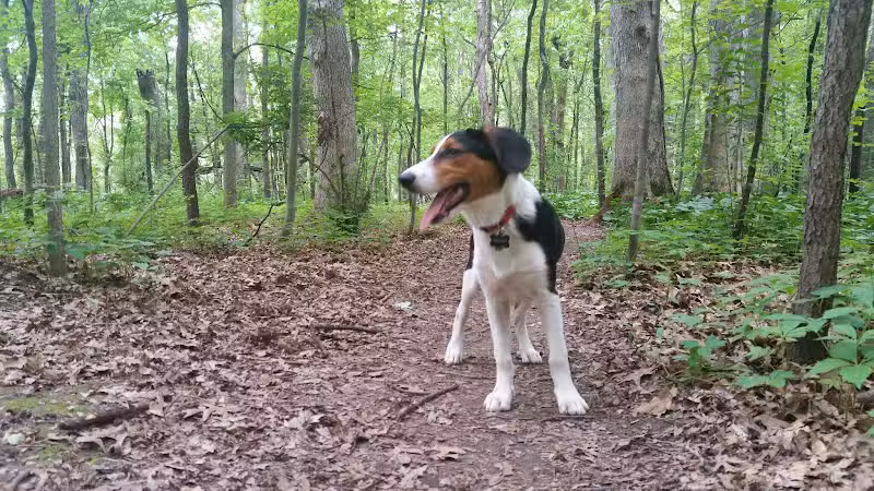 Prairie View County Park - Vicksburg,