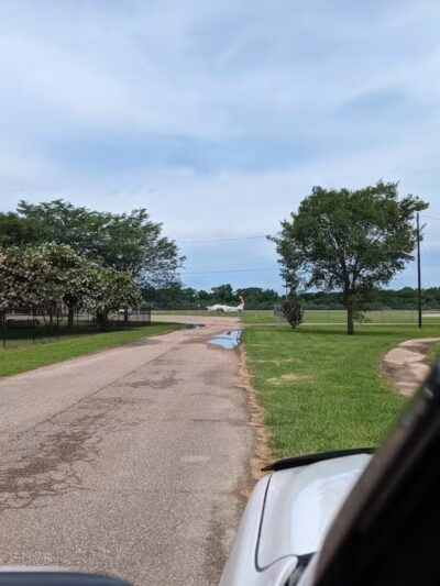 Vicksburg Dog Park - Vicksburg,