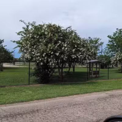 Vicksburg Dog Park - Vicksburg,