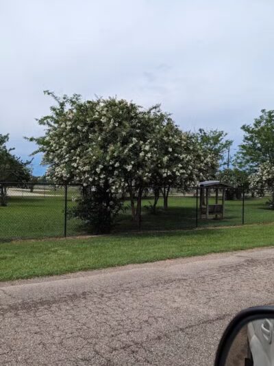 Vicksburg Dog Park - Vicksburg,