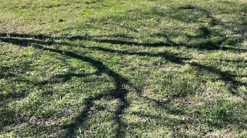 Vicksburg Dog Park - Vicksburg,