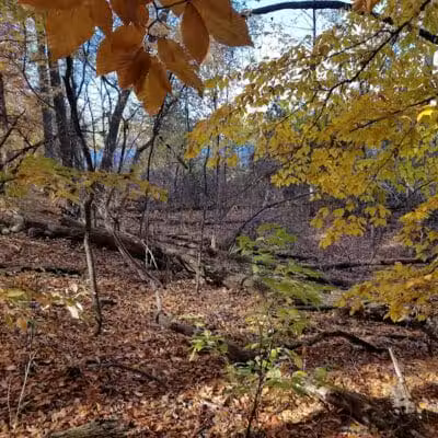 Bay Court Park - Village of Clarkston, MI