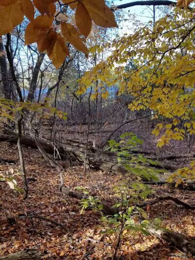 Bay Court Park - Village of Clarkston, MI