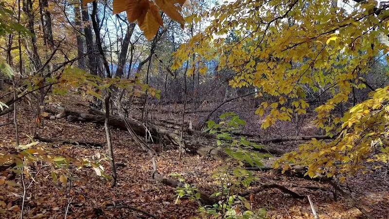 Bay Court Park - Village of Clarkston, MI