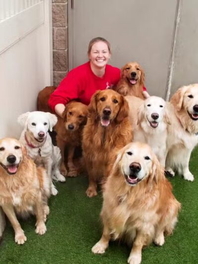 Camp Bow Wow Clarkston - Village of Clarkston, MI