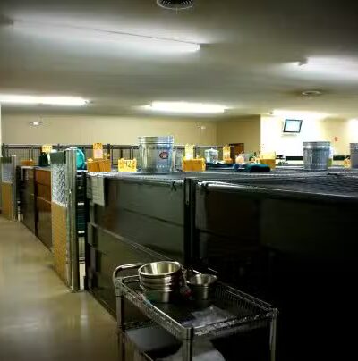 Camp Bow Wow Clarkston - Village of Clarkston, MI