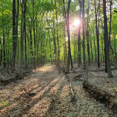 Clintonwood Park - Village of Clarkston, MI