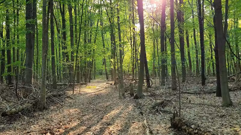 Clintonwood Park - Village of Clarkston, MI