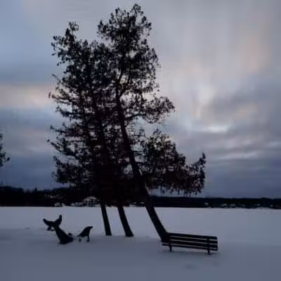 Deer Lake Beach - Village of Clarkston, MI