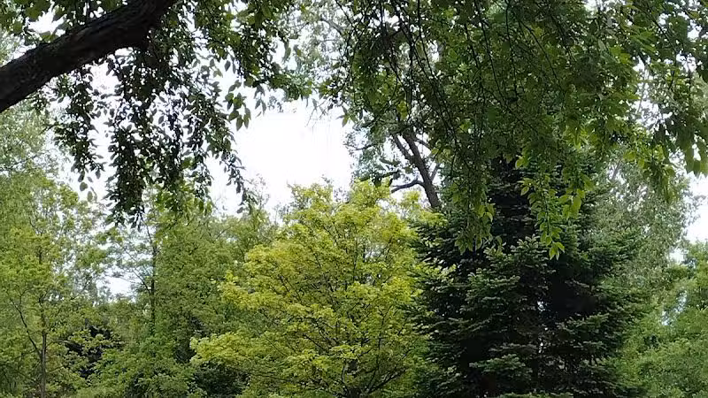 Depot Park - Village of Clarkston, MI