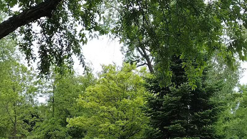 Depot Park - Village of Clarkston, MI