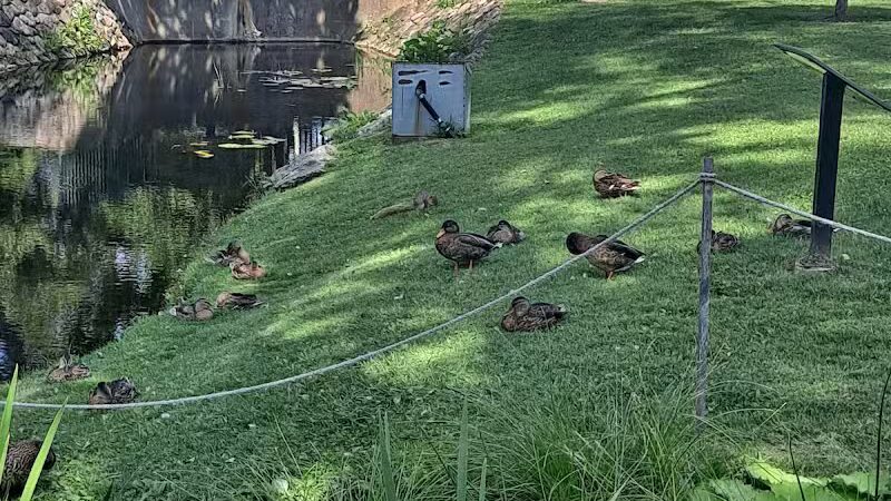 Depot Park - Village of Clarkston, MI