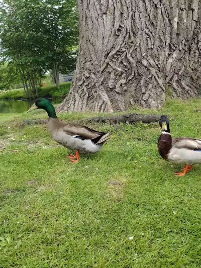 Depot Park - Village of Clarkston, MI