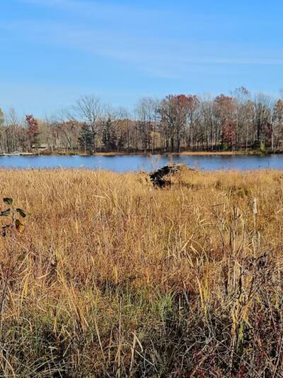 Independence Oaks County Park - Village of Clarkston, MI