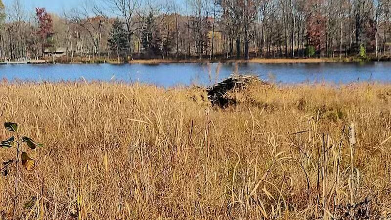 Independence Oaks County Park - Village of Clarkston, MI