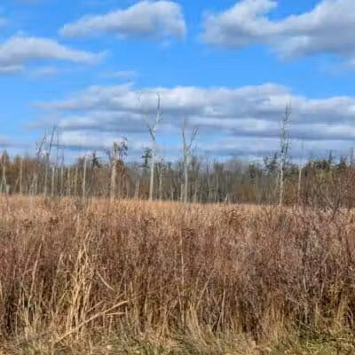 Independence Oaks Trailhead - Village of Clarkston, MI