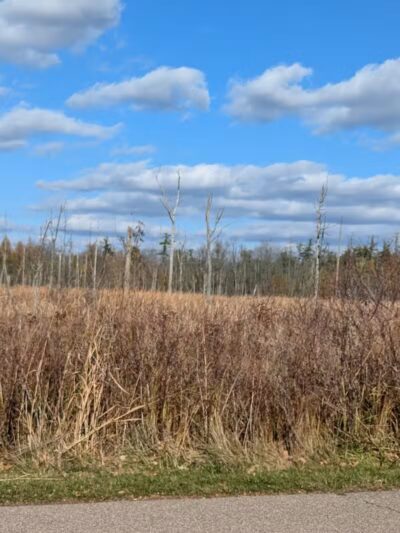 Independence Oaks Trailhead - Village of Clarkston, MI