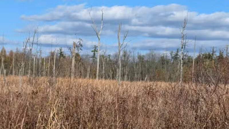 Independence Oaks Trailhead - Village of Clarkston, MI