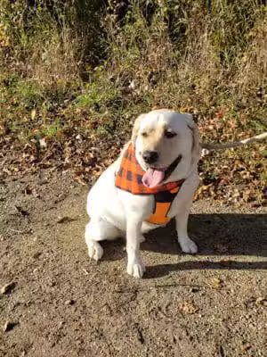 Clintonwood Park - Village of Clarkston, MI