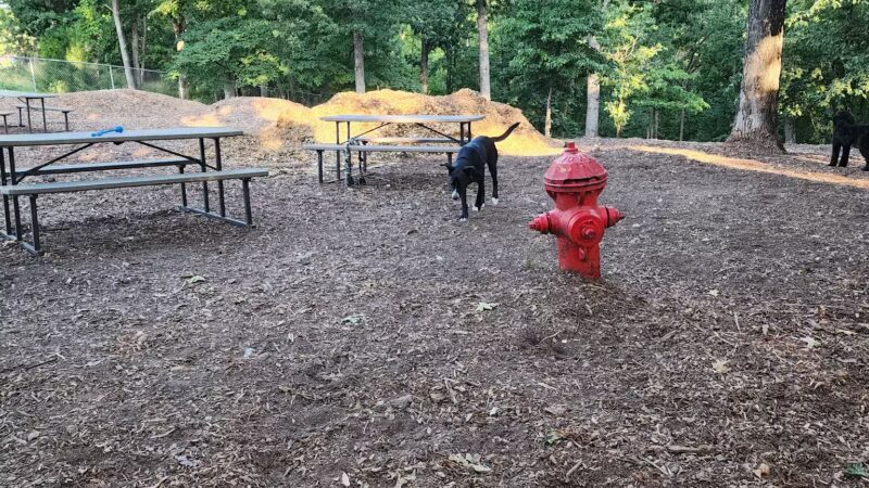 Horseshoe Bend Bark Park - Village of Four Seasons, MO