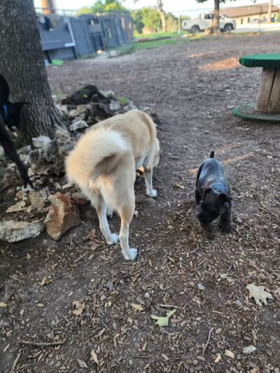 Horseshoe Bend Bark Park - Village of Four Seasons, MO