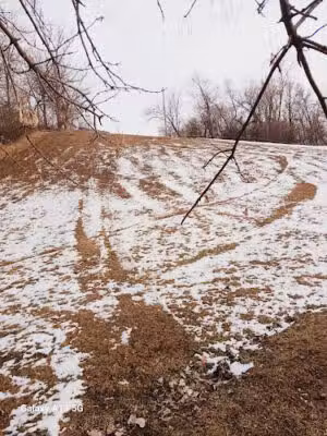 Sledding Hill - Vinton, IA