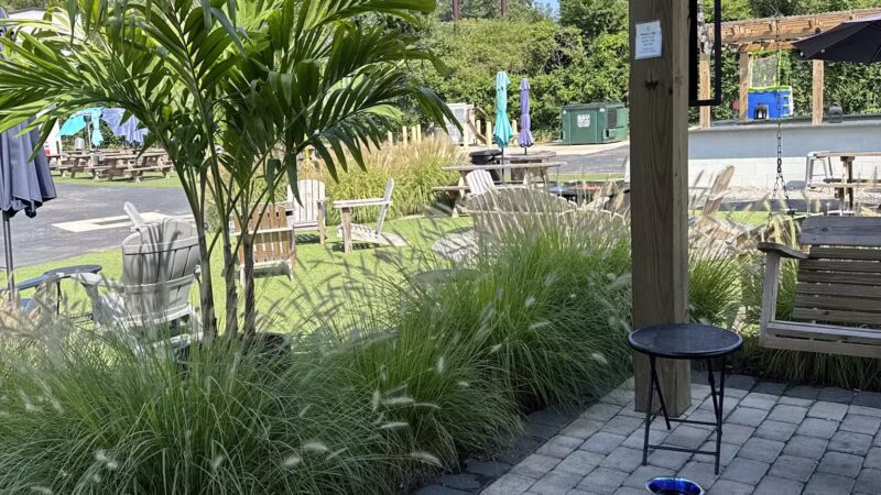 Pups and Pints - Virginia Beach, VA