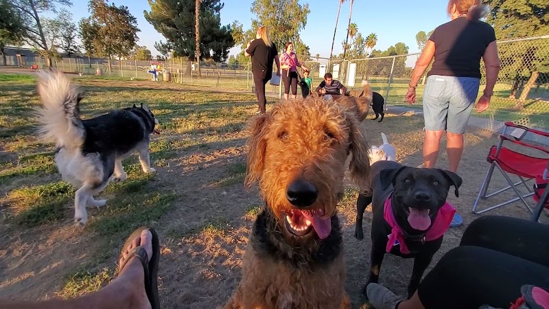 Plaza Park Bark Park - Visalia, CA