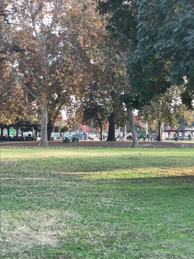 Plaza Park Bark Park - Visalia, CA