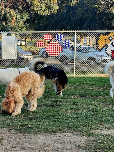 Cody Kelly Dog Bark Park - Visalia, CA