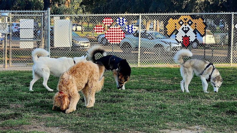 Cody Kelly Dog Bark Park - Visalia, CA