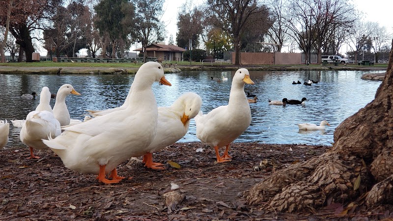 Cody Kelly Dog Bark Park - Visalia, CA