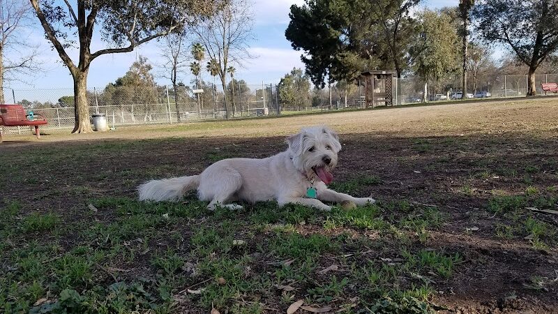 Cody Kelly Dog Bark Park - Visalia, CA
