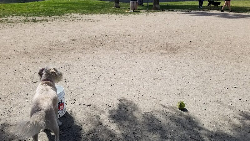 Cody Kelly Dog Bark Park - Visalia, CA