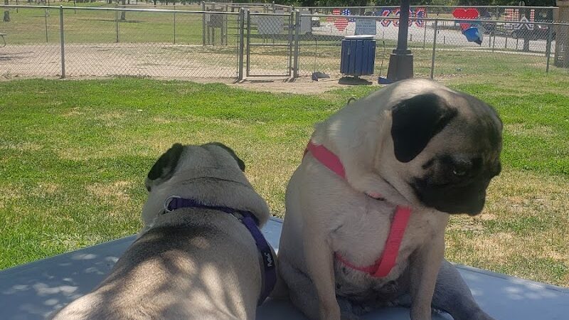 Cody Kelly Dog Bark Park - Visalia, CA