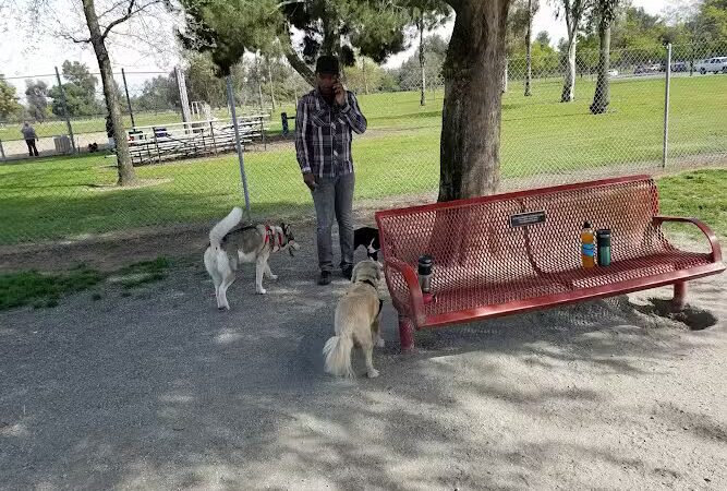 Cody Kelly Dog Bark Park - Visalia, CA