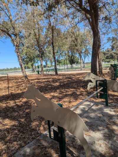 Mooney Grove Dog Park - Visalia, CA