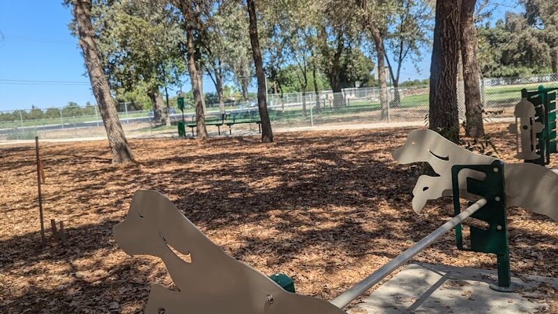 Mooney Grove Dog Park - Visalia, CA