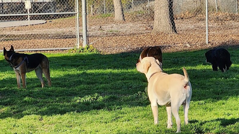 Seven Oaks Dog Park - Visalia, CA
