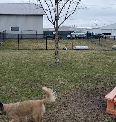 Wabash Dawg Park - Wabash, IN