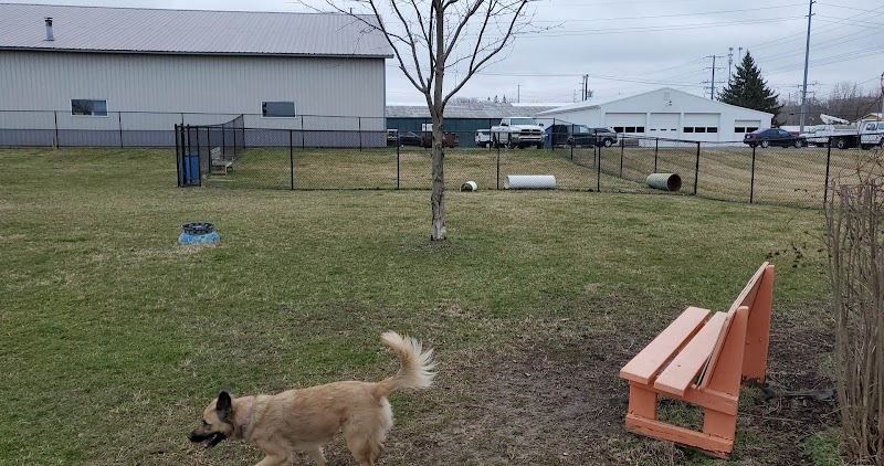 Wabash Dawg Park - Wabash, IN