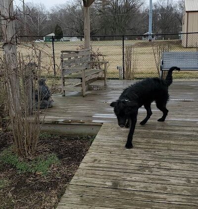 Wabash Dawg Park - Wabash, IN