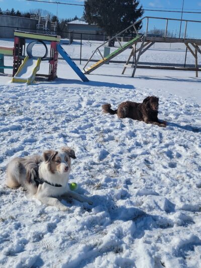 Wabash Dawg Park - Wabash, IN